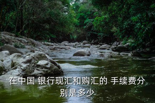 在中國 銀行現匯和購匯的 手續費分別是多少