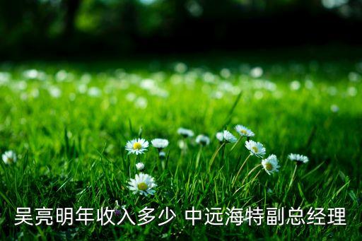 吳亮明年收入多少 中遠海特副總經理