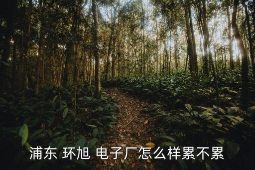 環旭電子有限公司月收工資上海,惠州環旭電子科技有限公司
