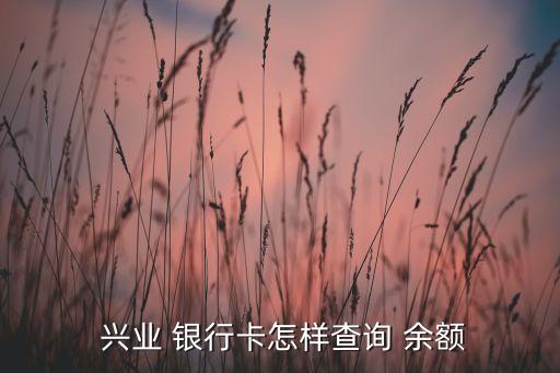  興業 銀行卡怎樣查詢 余額