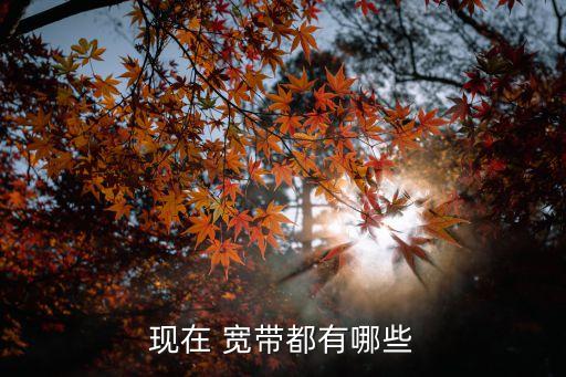 現在 寬帶都有哪些