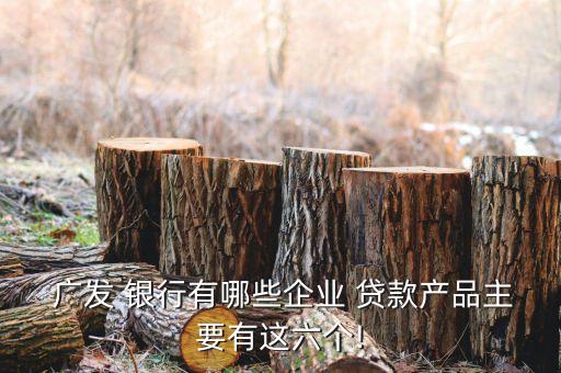 廣發銀行經營性貸款