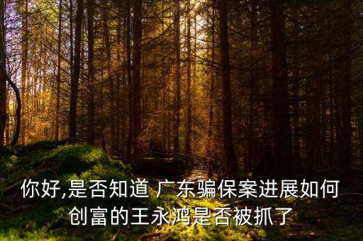 你好,是否知道 廣東騙保案進展如何創富的王永鴻是否被抓了