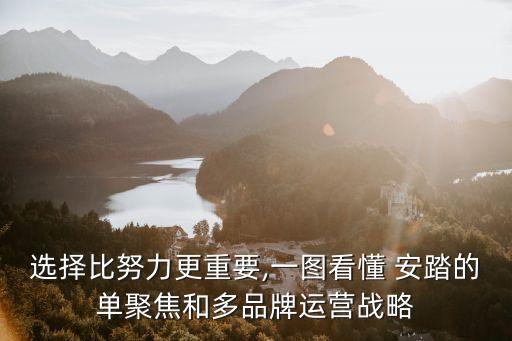 選擇比努力更重要,一圖看懂 安踏的單聚焦和多品牌運營戰略