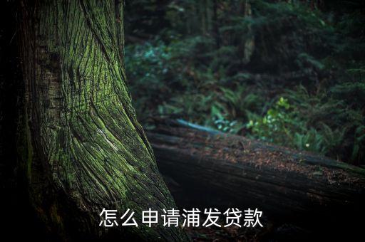新疆浦發銀行兵團信貸