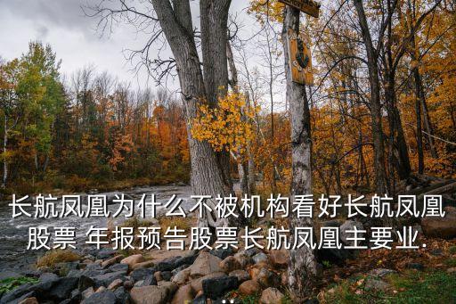 長航鳳凰為什么不被機構看好長航鳳凰股票 年報預告股票長航鳳凰主要業...
