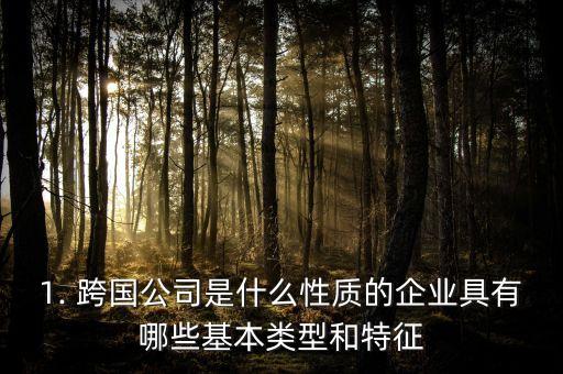 1. 跨國公司是什么性質的企業具有哪些基本類型和特征