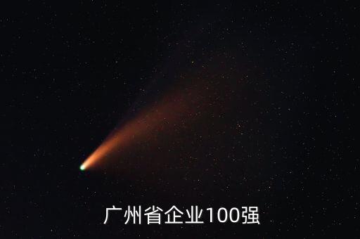  廣州省企業100強