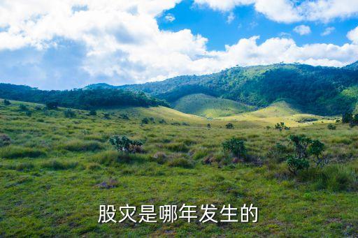 股災是哪年發生的