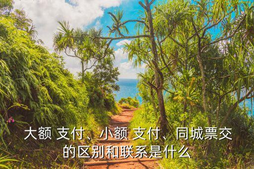  大額 支付、小額 支付、同城票交的區別和聯系是什么