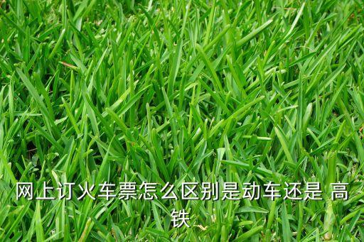 網上訂火車票怎么區別是動車還是 高鐵