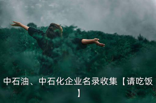 中石油、中石化企業名錄收集【請吃飯】