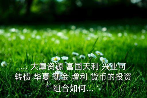 ... 大摩資源 富國天利 興業可轉債 華夏 現金 增利 貨幣的投資組合如何...