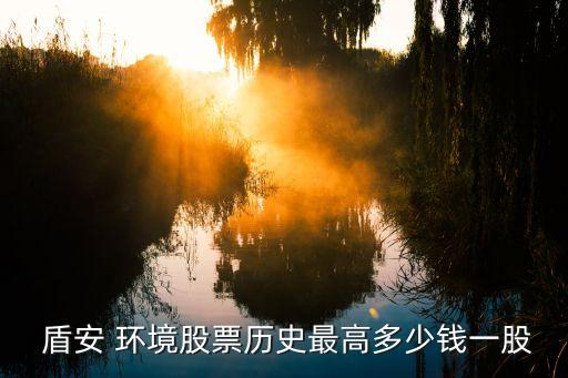  盾安 環境股票歷史最高多少錢一股