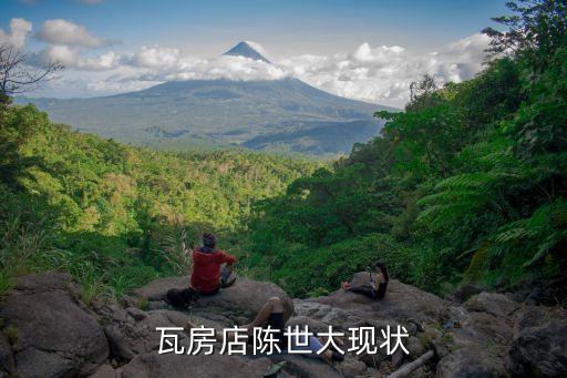 瓦房店陳世大現狀