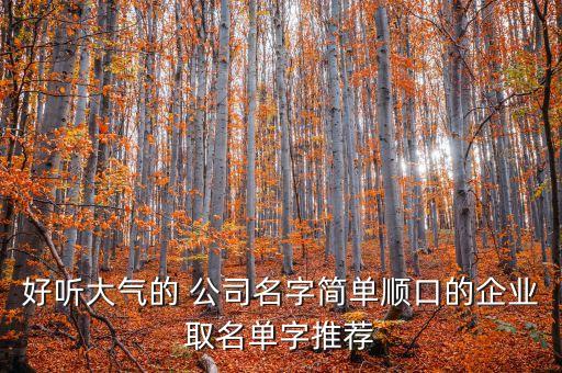 和利瑞公司,內蒙古和利公司