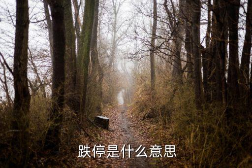 股票連續跌停