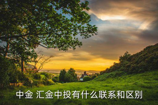 中金 匯金中投有什么聯系和區別