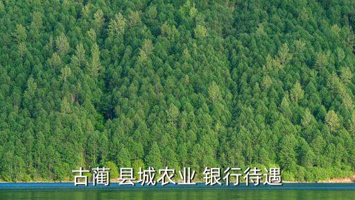 古藺 縣城農業 銀行待遇