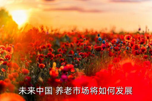 養老公司如何上市,如何查詢公司給交的養老