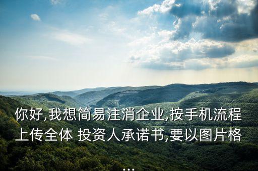 你好,我想簡易注消企業,按手機流程上傳全體 投資人承諾書,要以圖片格...