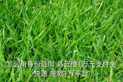 馬云的網上銀行怎么貸款,網上銀行貸款流程及條件