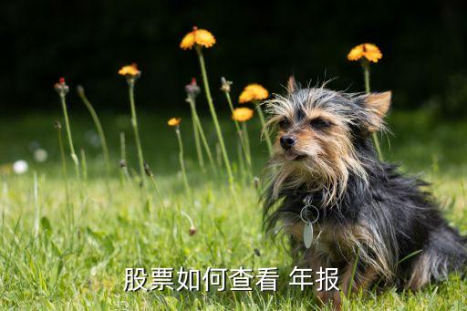 2013年上市公司年報下載,上市公司年報下載的專業網站