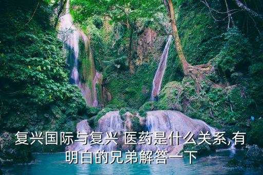 復興國際與復興 醫藥是什么關系,有明白的兄弟解答一下