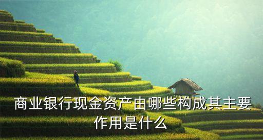  商業銀行現金資產由哪些構成其主要作用是什么