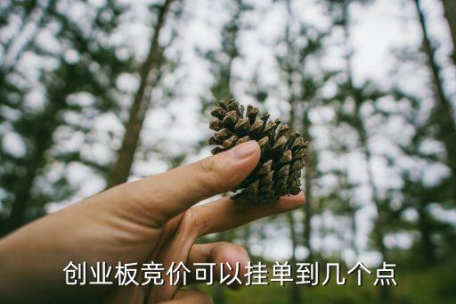  創業板競價可以掛單到幾個點