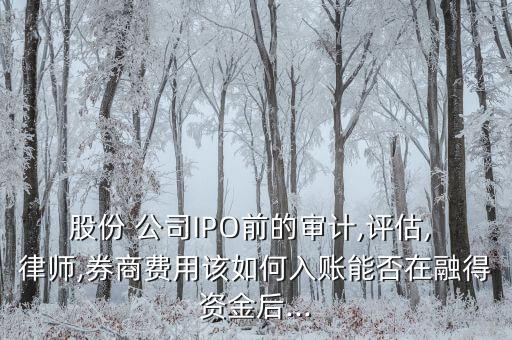上市公司能否用股權支付律師費