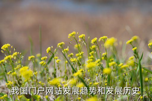 2014中國互聯網用戶,目前中國互聯網用戶人數
