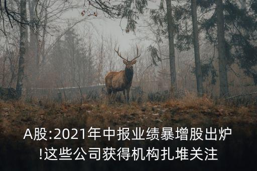 A股:2021年中報業績暴增股出爐!這些公司獲得機構扎堆關注