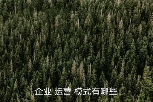 企業 運營 模式有哪些