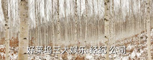 創新藝人經紀公司導演,美國CAA創新藝人經紀公司