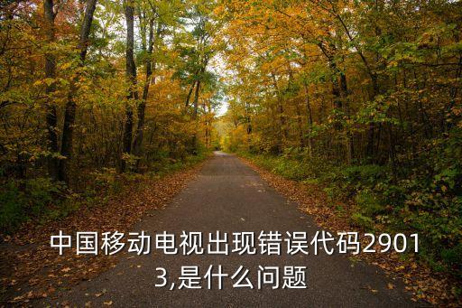  中國(guó)移動(dòng)電視出現(xiàn)錯(cuò)誤代碼29013,是什么問題