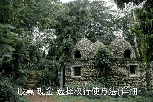 現金選擇權的股票,股票選擇權是什么意思