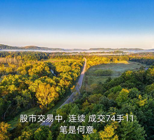 股市交易中, 連續 成交74手11筆是何意