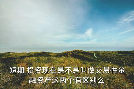  短期 投資現在是不是叫做交易性金融資產這兩個有區別么