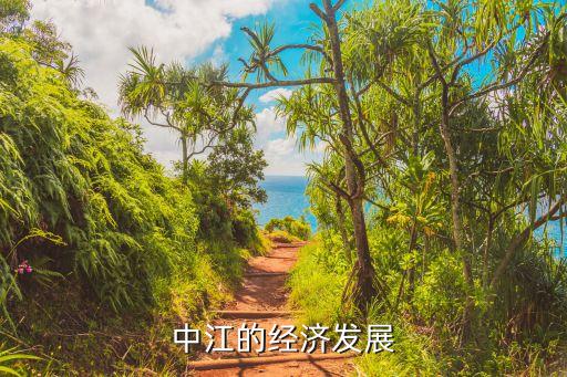 中國城市金融生態環境,農村金融生態環境的問題與城市