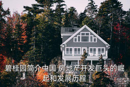 2009年公開發行股票的房地產公司