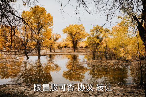 限售股可否 協議 轉讓