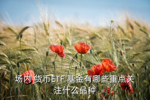場內 貨幣ETF 基金有哪些重點關注什么品種