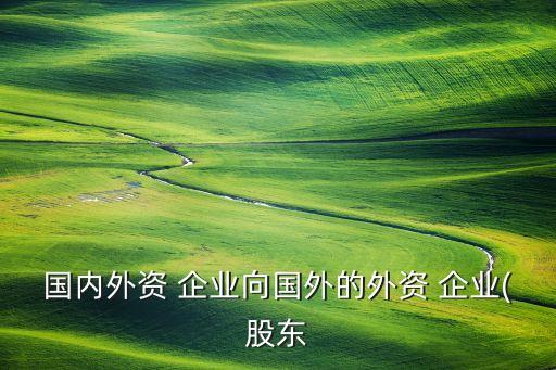 企業向境外子公司借款
