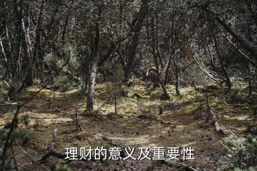  理財的意義及重要性