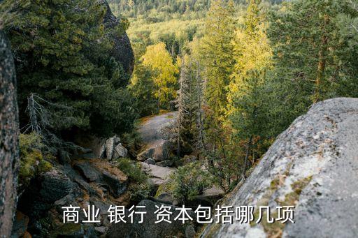 銀行資本的規定,什么是銀行二級資本債