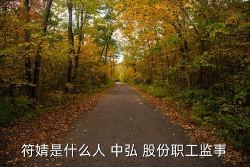 符婧是什么人 中弘 股份職工監事