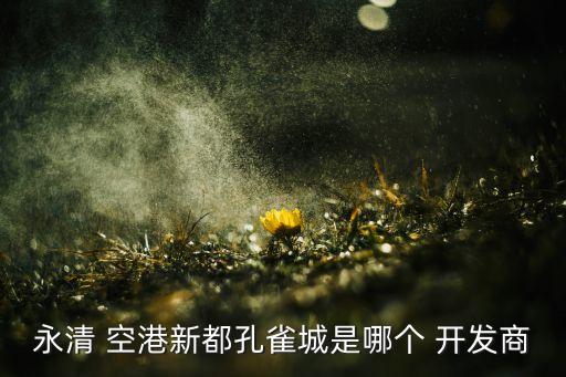 68廊坊空港投資開發有限公司,廊坊空港投資開發有限公司盈利情況