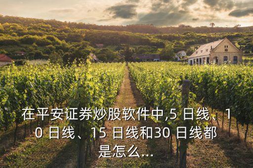 在平安證券炒股軟件中,5 日線、10 日線、15 日線和30 日線都是怎么...