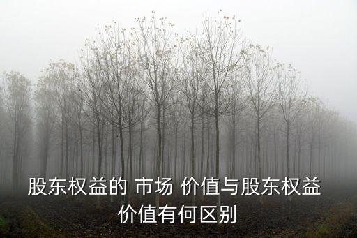 股東權益的 市場 價值與股東權益 價值有何區別